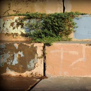 Meet your Posher, Cecil